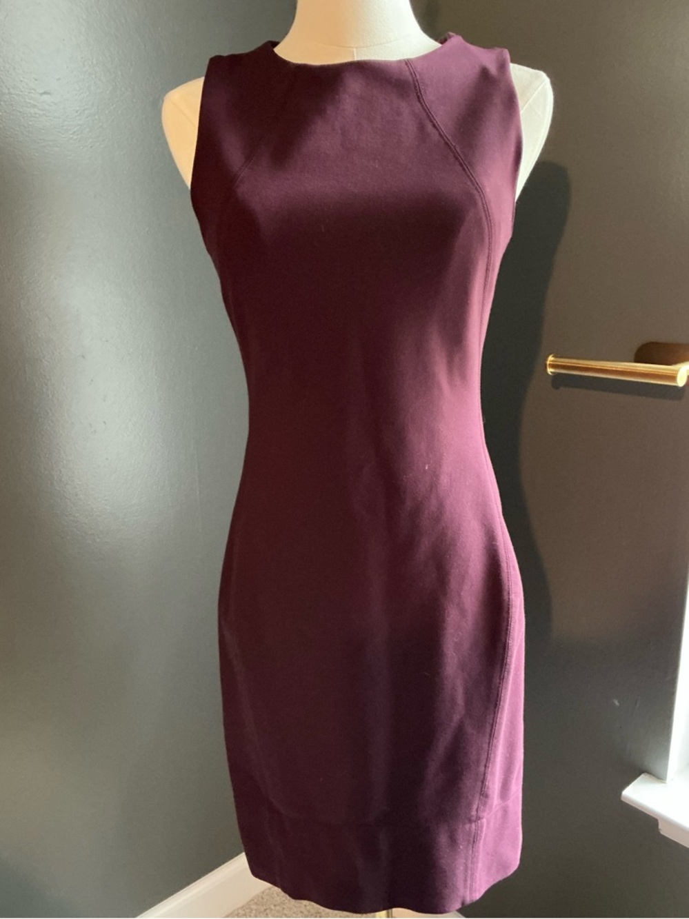 Babaton Aritzia Maroon Fitted Dress, size 4